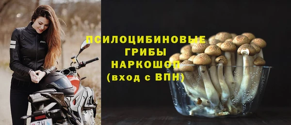 крисы Алзамай