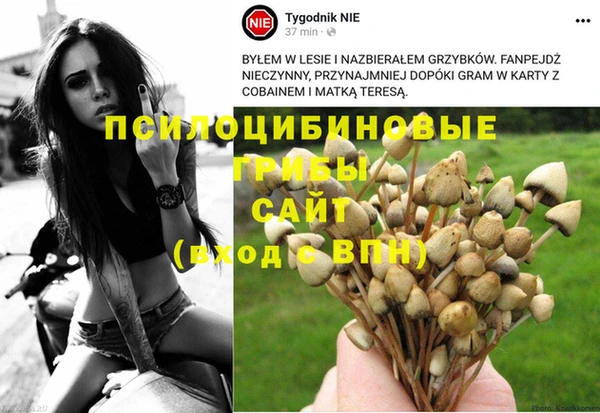 МДМА Алексин