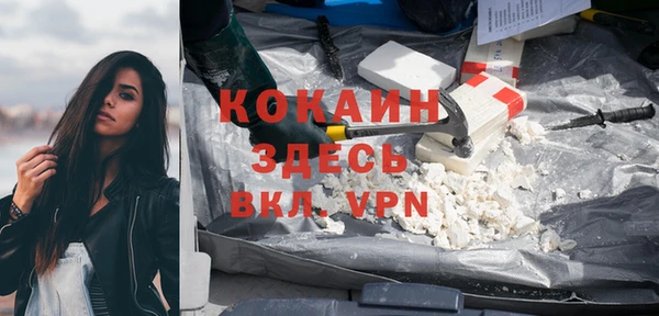 крисы Алзамай